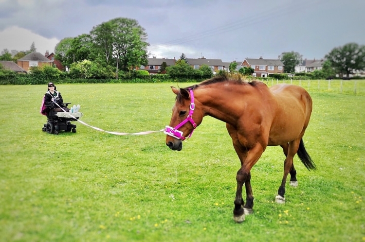 A photo of a girl (Holly) in an electric wheelchair with elevated legs, lunging a light bay horse in a grass field.